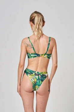 Shark Polewear Boston Shorts - Green Fern -Pole Dance Clothing & Shoes Shop 15.07.20 03139