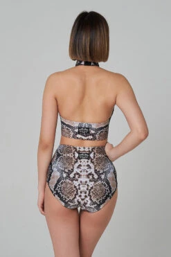 Shark Polewear High Waist Shorts - Snake -Pole Dance Clothing & Shoes Shop 21.12.20 07675