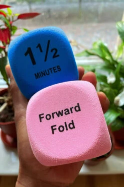 The Enviro Co. Pole Dice - Flexibility -Pole Dance Clothing & Shoes Shop IMG 1878 1