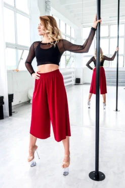 REV ACTIV Mesh Long Sleeved Crop Top - Black -Pole Dance Clothing & Shoes Shop IMG 6339 1 793feba1 083c 4f70 a3c9 3d16b9cb4dea