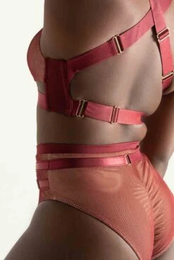 Tatiana Activewear Yuki Shorts - Burgundy Mesh -Pole Dance Clothing & Shoes Shop TatianaActive YukiBurgundyMeshPoleWearSet 7734