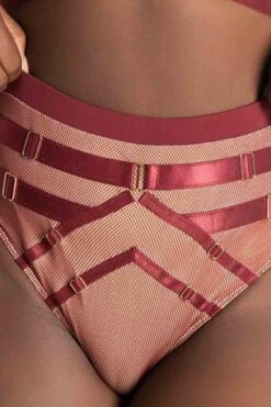 Tatiana Activewear Yuki Shorts - Burgundy Mesh -Pole Dance Clothing & Shoes Shop TatianaActive YukiBurgundyMeshPoleWearSet 7736