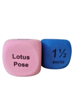 The Enviro Co. Pole Dice - Flexibility -Pole Dance Clothing & Shoes Shop Untitleddesign 2022 05 11T135515 059 1024x1024 2x png 1