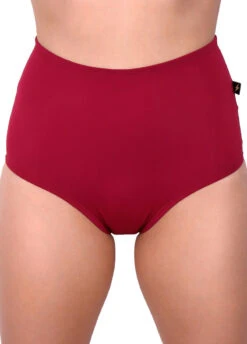Cleo The Hurricane Essential High Waisted Shorts - Merlot 5 Cleo The Hurricane Essential High Waisted Shorts - Merlot -Pole Dance Clothing & Shoes Shop ess hw mer3