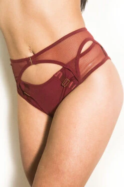 Tatiana Activewear Kaizen Shorts - Burgundy 14 Tatiana Activewear Kaizen Shorts - Burgundy -Pole Dance Clothing & Shoes Shop kaizen1 5666c56d 1baa 4f4b 9d4e 62a3a290a27f