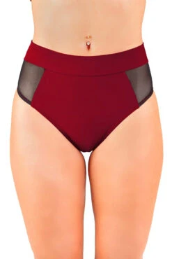 Dragonfly Molly Shorts - Burgundy Mesh -Pole Dance Clothing & Shoes Shop msr1