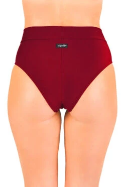 Dragonfly Molly Shorts - Burgundy Mesh -Pole Dance Clothing & Shoes Shop msr3