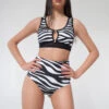 Pole Addict High Waisted Shorts - Zebra