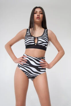Pole Addict High Waisted Shorts - Zebra